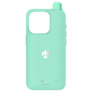 Hols case 30000 puffs - Miami Mint